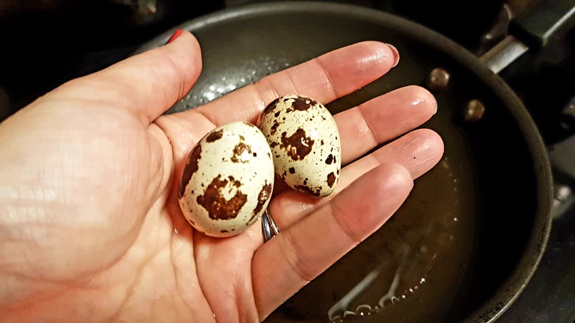 quail eggs